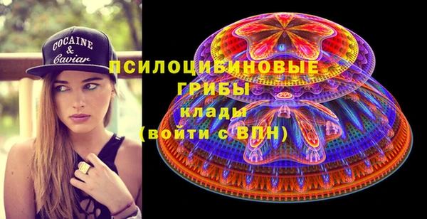 кокс Михайлов