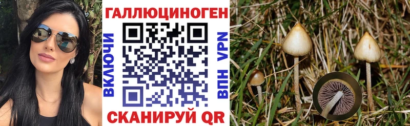Купить  Архангельск  Галлюциногенные грибы Magic Shrooms 