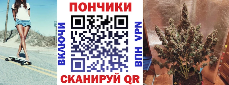 Конопля Amnesia  Купить где  Архангельск 